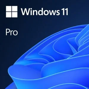 SOFTWARE WINDOWS 11 PRO OEM COA 2026
